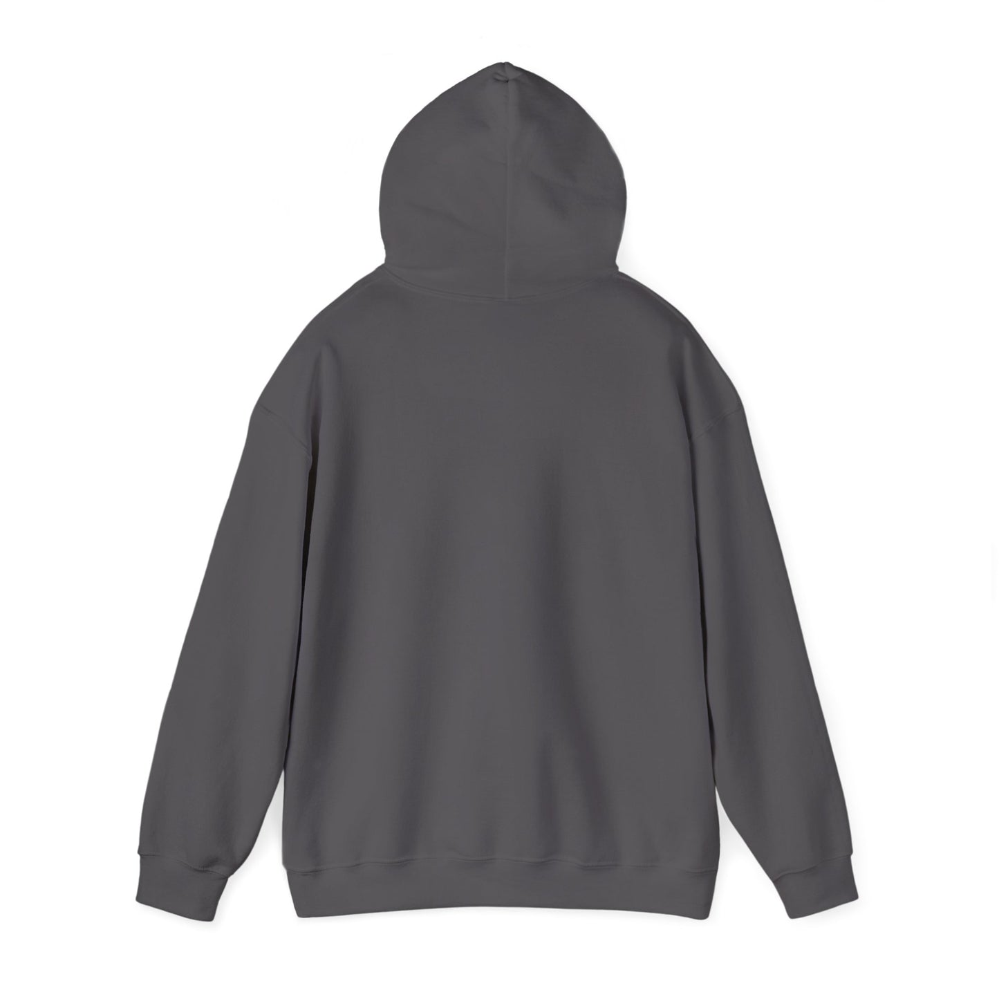 CLASSIC CLOUDED HOODIE